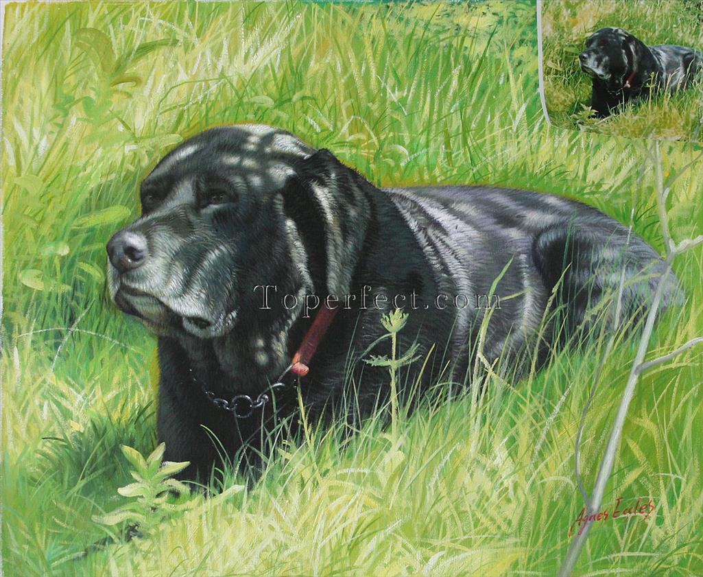 imd009 dog portrait Oil Paintings